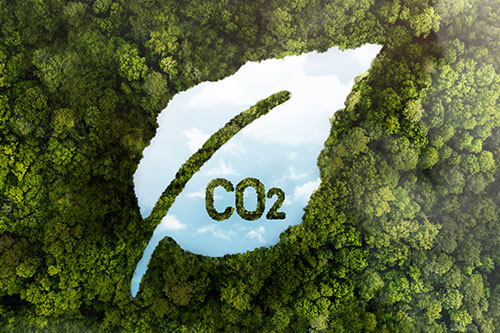 Decarbonisation - A societal and business challenge